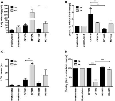 Activation of the NLRP3 Inflammasome Pathway by Uropathogenic Escherichia coli Is Virulence Factor-Dependent and Influences Colonization of Bladder Epithelial Cells